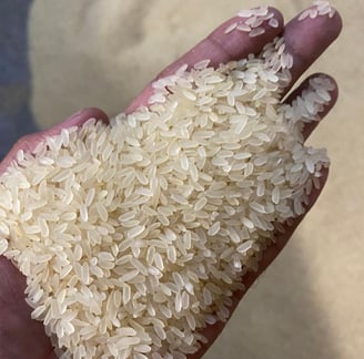 ir64 parboiled rice non basmati export
