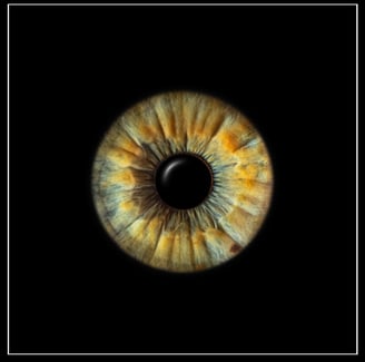 iris foto, Einzeliris, schwarzer Hintergrund, Auge, Macroaufnahme