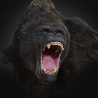 David Janssens - Gorilla