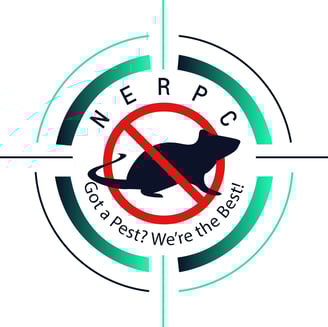 NE Region Pest Control LLC