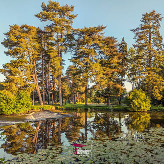Malestroit Bretagne