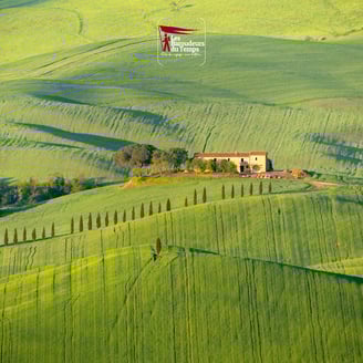 valdorcia
