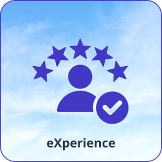 Experience phase – Real-world feedback and user insights to refine performance