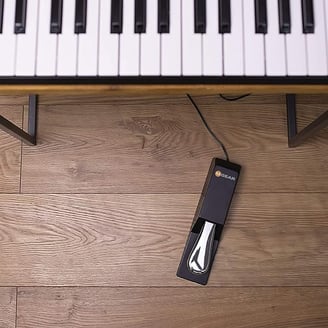 M-Audio SP-2 Sustain Pedal
