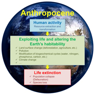 Definition of the Anthropocene in pictures: human activity causes extinction of life