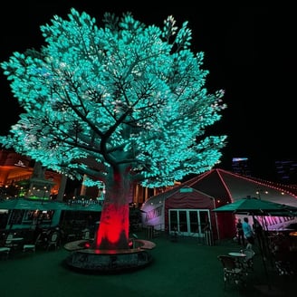 a tree with a green tree in the middle of it