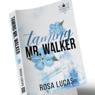 honey and sin designs book cover design package