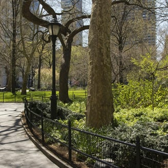 Central Park, New-York