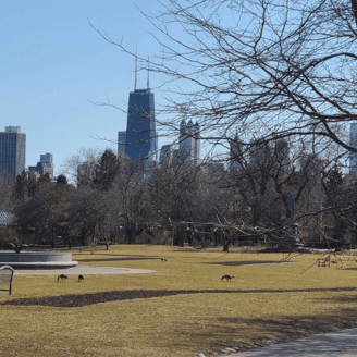 Best Family Attractions in Chicago: Lincoln Park Zoo