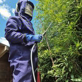 Pro destruction nid de guêpe et frelons