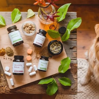 Canideo Blog Vitamines pour chiens