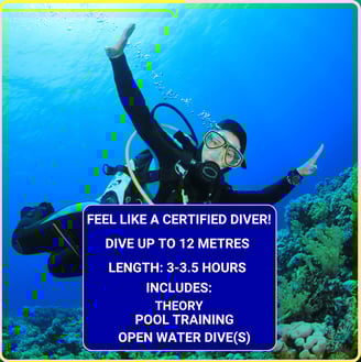 Scuba Diving Underwater with Gili Scuba Diving Centre