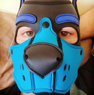 Close-up of a man in a pup mask.