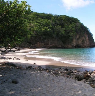 Voyage France Guadeloupe Bosco