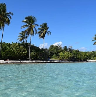 Voyage France Guadeloupe Bois Jolan