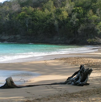 Voyage France Guadeloupe Plage de La Perle