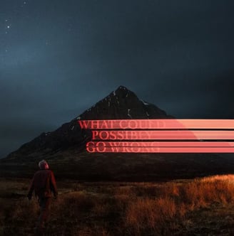 What Could Possibly Go Wrong album cover