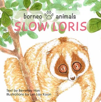 Slow Loris picture book by Beverley Hon illustrations by Lim Lay Koon Oyez!Books