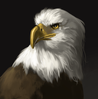Eagle artwork, close-up portrait, detailed feathers, digital painting, wildlife art