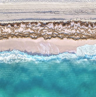 a beach scene with a surfboarder and a surfboard