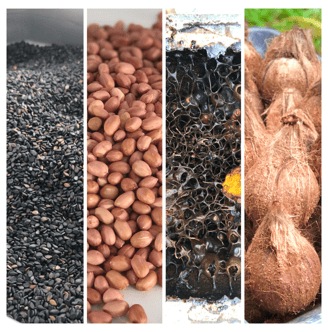 Organic and premium quality Grade A Black Sesame seeds, Groundnuts, Stingless Bee honey & coconuts