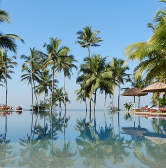 Kerala is known for its beautiful beaches along the Arabian Sea, offering a mix of tranquil palm-fringed sands and vibrant se