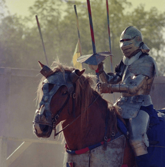 Joust Knight