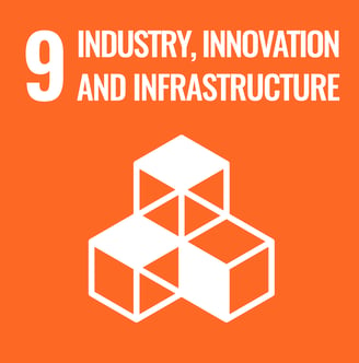 SDG 9