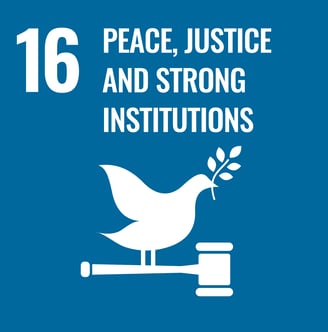 SDG 16