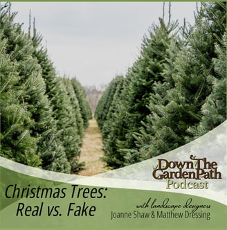 Natural Affinity Down the garden path podcast Christmas trees: real vs. fake Matthew Dressing