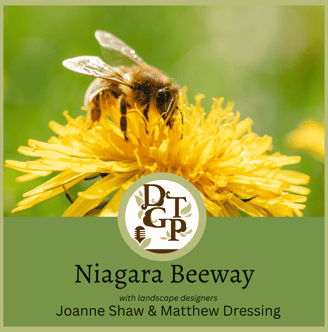 Matthew Dressing Down the Garden Path Podcast Niagara Beeway with George Scott