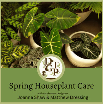 Matthwe Dressing Spring Houseplant Care Down the Garden Path Podcast