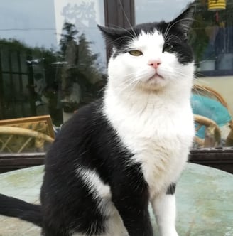Tommy sitting proud, such a big boy!