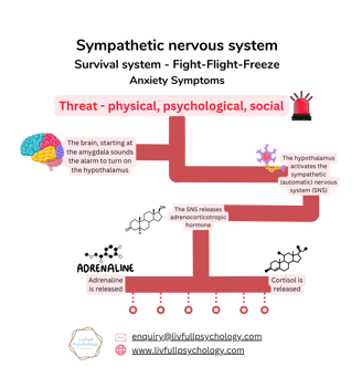 Nervous system - SNS - anxiety symptoms - route - adrenaline