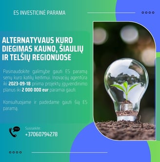 parama verslui