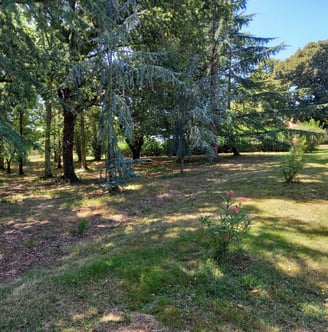 chantelevent-maison-pompignac-gironde-petit-bois