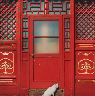 White cat sitting in front of a red ornate door symbolizing bold creative ideas at Braske Agency