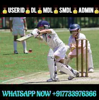 ONLINE CRICKET BETTING ID AVAILABLE DL MDL SMDL MASTER ID SUPER MASTER ID ADMIN ID AVAILABLE