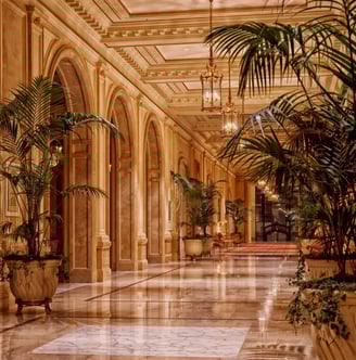 Plantes d'intérieur dans une large salle