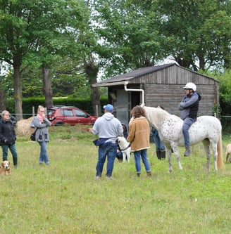 Rémi Bleibtreu equicoach échange avec un groupe de collaborateurs en quête de cohesion d'équipe