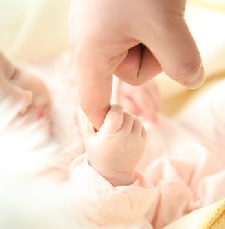 wikifaith-encyclopedia-wikipedia-wikileaks-baby