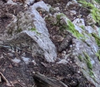 fille qui monte dans la montagne