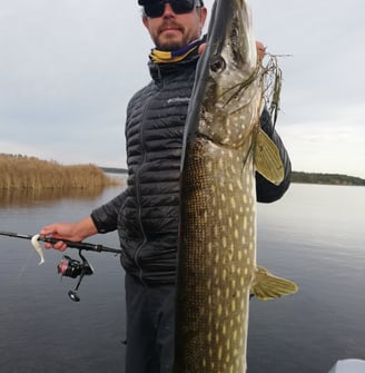 with fishing escape sweden a fisherman caught a big pike in sweden, he is on a boat.