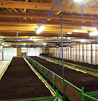 elaboración humus de lombriz en nave lombricor
