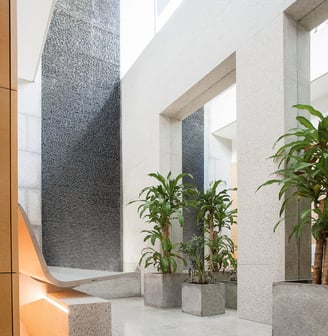 Natural light-filled lobby in Mallorca fertility clinic