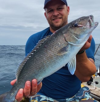 deep sea fishing Zanzibar Kizimkazi Jab Fish Jigging