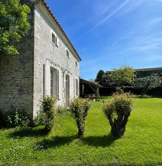 vue de la métairie extérieur avec soleil et osier