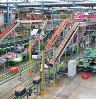 Warehouse Conveyor Automation