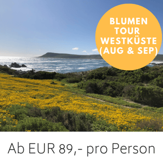 Blumenmeer vor der Lagune