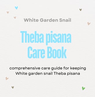 white garden snail keeping care sheet